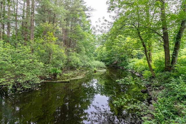28 New Searles Rd, Nashua, NH 03062 - water view with a heavily wooded area