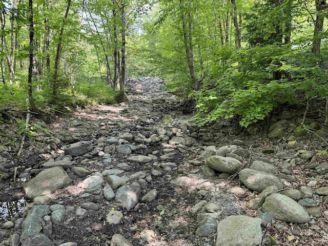 276 Minister Brook Rd, Worcester, VT 05682 - view of woods