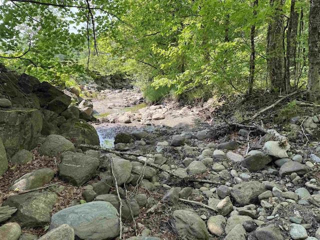 276 Minister Brook Rd, Worcester, VT 05682 - view of woods