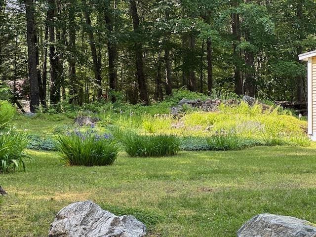 15 Milford St, Amherst, NH 03031 - view of yard