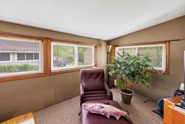 15 Milford St, Amherst, NH 03031 - sitting room with carpet flooring and lofted ceiling