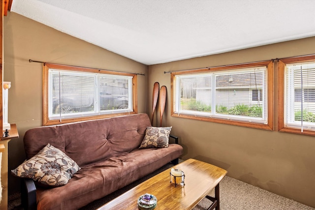 15 Milford St, Amherst, NH 03031 - carpeted living room with lofted ceiling