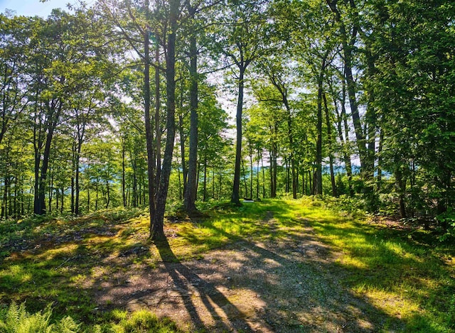 0 Beech Hill Rd, Andover, NH 03216