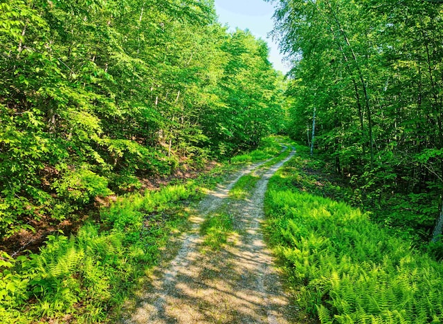 0 Beech Hill Rd, Andover, NH 03216