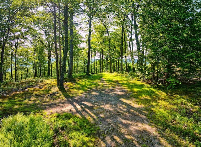 0 Beech Hill Rd, Andover, NH 03216