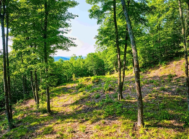 0 Beech Hill Rd, Andover, NH 03216