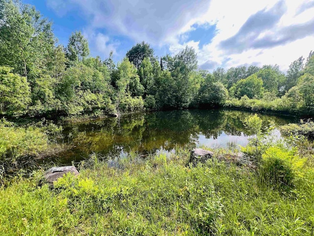 1533 Morey Rd, Sutton, VT 05867 - water view with a heavily wooded area