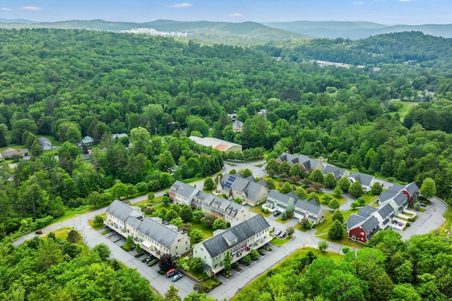7 Shadow Brook Dr, Hanover, NH 03755 - aerial view of a heavily wooded area