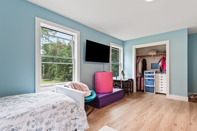 6 Rainbow Dr, Ossipee, NH 03864 - bedroom with wood finished floors, a closet, and multiple windows