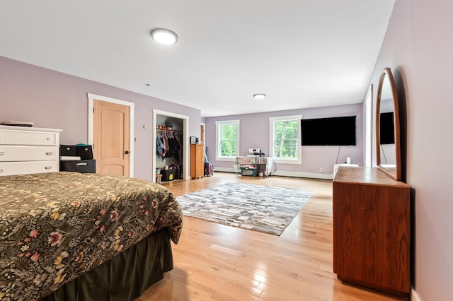 6 Rainbow Dr, Ossipee, NH 03864 - bedroom featuring light wood-type flooring, a spacious closet, and a closet