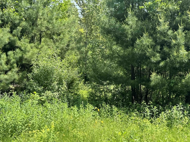 3 Brookside Dr, Grantham, NH 03753