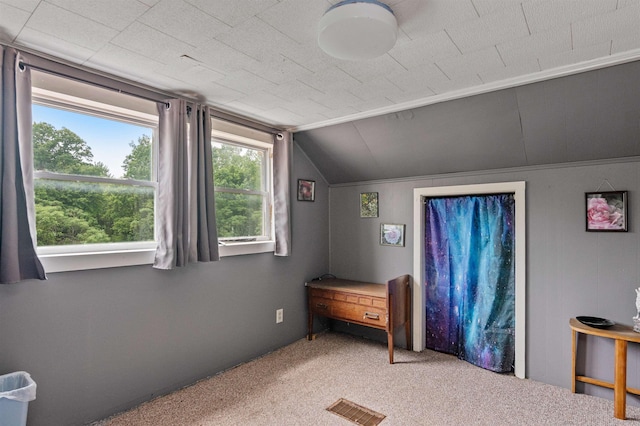 3123 Carter Hill Rd, Highgate, VT 05488 - carpeted bedroom with vaulted ceiling