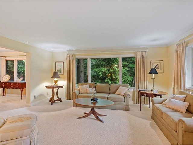 66 Dunder Rd, Burlington, VT 05401 - living room with carpet floors and ornamental molding