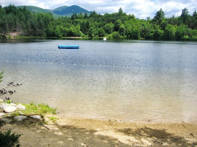 164 Deer Park Dr Unit 173A, Woodstock, NH 03262 - water view with a heavily wooded area and mountains