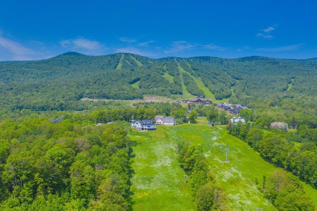 56 Coldbrook Xing, Wilmington, VT 05363 - bird's eye view of a mountain backdrop and a forest