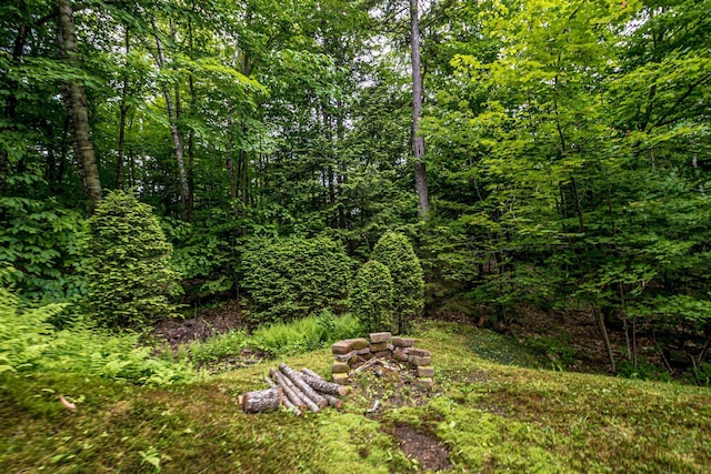 435 Rolling Ridge Rd, Bartlett, NH 03812 - view of yard with a view of trees