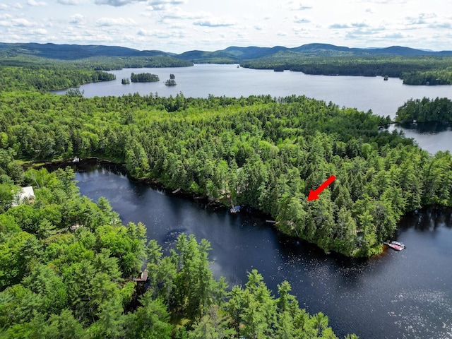 28 Brook Ln, Conway, NH 03818 - bird's eye view of a water and mountain view and a forest
