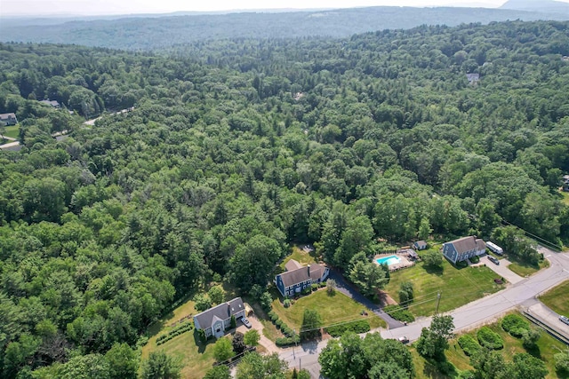 48 Cider Mill Rd, Bedford, NH 03110 - drone / aerial view of a forest
