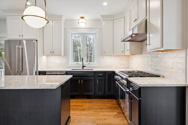 131 Exeter Rd, North Hampton, NH 03862 - kitchen featuring premium appliances, under cabinet range hood, light wood-style flooring, light stone countertops, and white cabinets