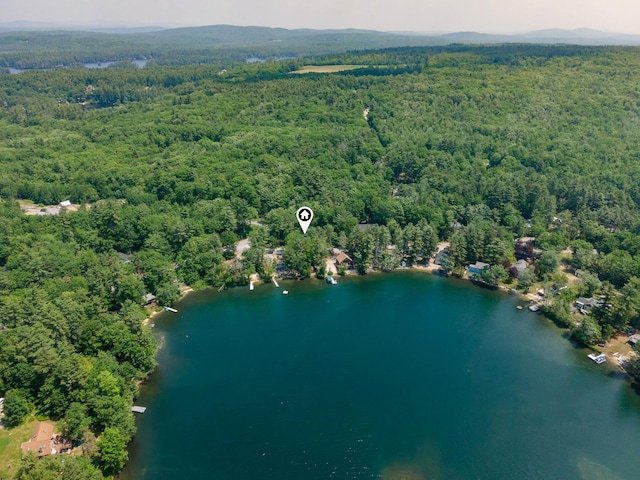 11 Dearborn Rd, Wakefield, NH 03830 - drone / aerial view of a heavily wooded area and a nearby body of water
