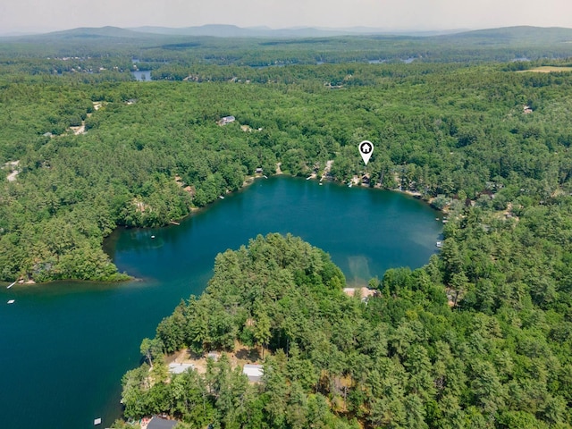 11 Dearborn Rd, Wakefield, NH 03830 - view of property location featuring a forest and a nearby body of water