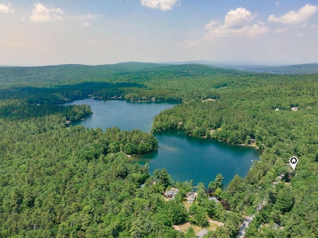 11 Dearborn Rd, Wakefield, NH 03830 - bird's eye view of a heavily wooded area and a large body of water