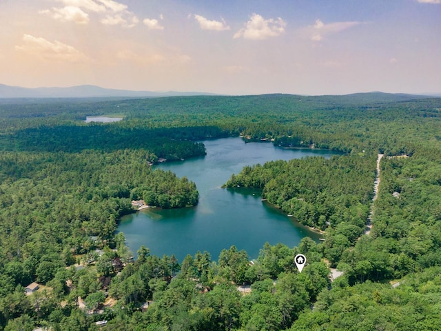 11 Dearborn Rd, Wakefield, NH 03830 - bird's eye view of a heavily wooded area and a large body of water