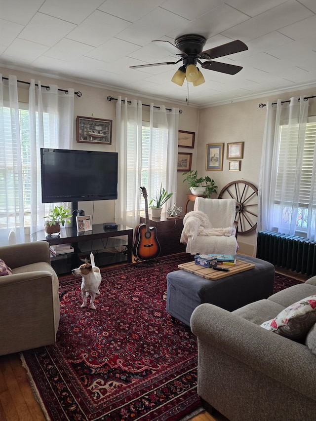 104 Middle St, Lancaster, NH 03584 - living room with plenty of natural light, a ceiling fan, hardwood / wood-style floors, and crown molding