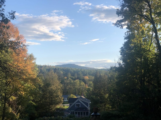 104 Middle St, Lancaster, NH 03584 - view of mountain backdrop with a heavily wooded area
