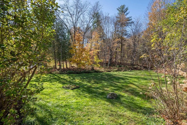 104 Middle St, Lancaster, NH 03584 - view of green lawn