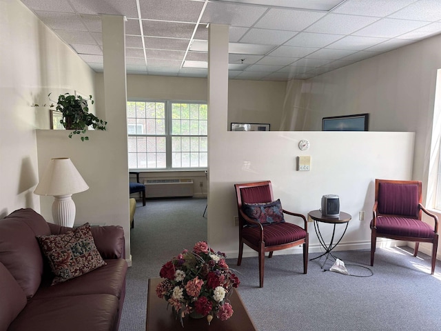 96 River Rd Unit 205, Manchester, NH 03104 - carpeted living room featuring a paneled ceiling