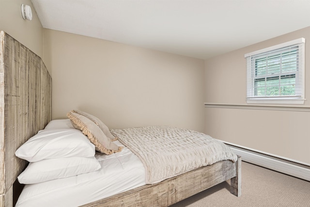 8 Willow Spring Ln, Hanover, NH 03755 - view of carpeted bedroom