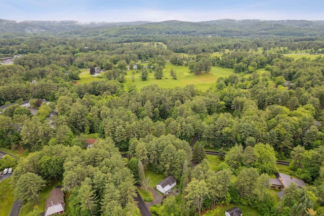 8 Willow Spring Ln, Hanover, NH 03755 - aerial view of property's location featuring a forest and a mountain backdrop