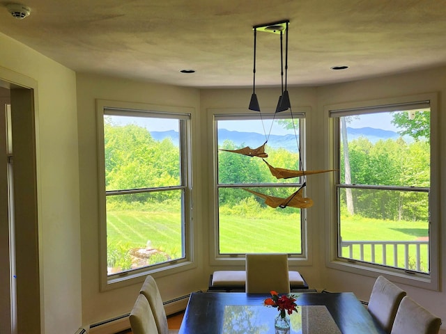 201 Lower Judson Ln, Stowe, VT 05672 - dining space with healthy amount of natural light