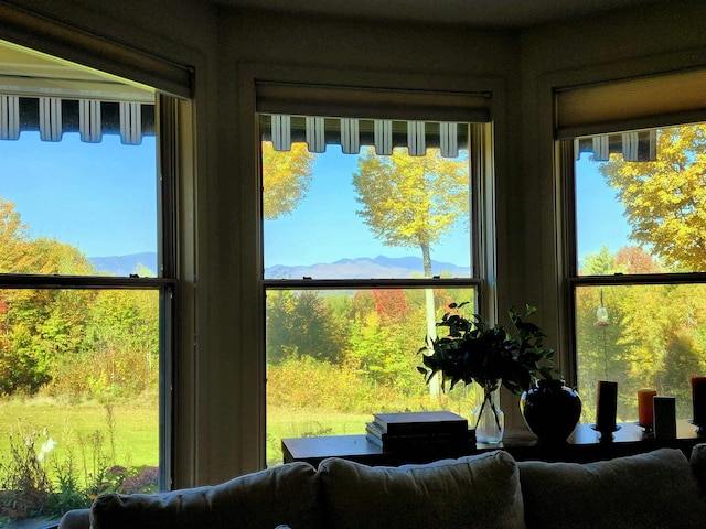 201 Lower Judson Ln, Stowe, VT 05672 - detailed view