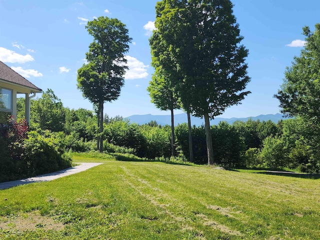 201 Lower Judson Ln, Stowe, VT 05672 - view of green lawn featuring a mountain view