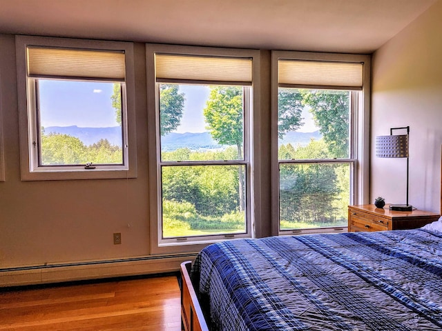 201 Lower Judson Ln, Stowe, VT 05672 - bedroom featuring a baseboard radiator and wood finished floors