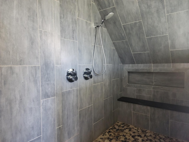 201 Lower Judson Ln, Stowe, VT 05672 - full bath with a tile shower