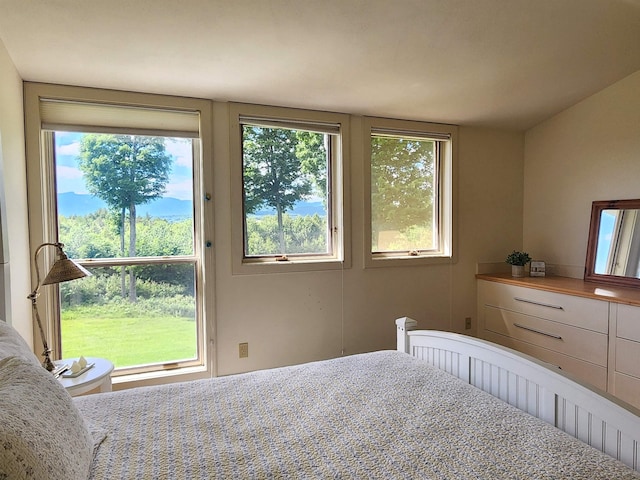 201 Lower Judson Ln, Stowe, VT 05672 - bedroom with radiator heating unit and multiple windows