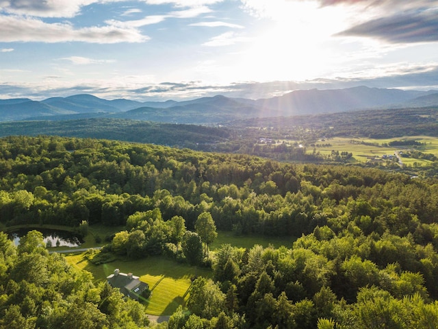 201 Lower Judson Ln, Stowe, VT 05672 - mountain view with a heavily wooded area