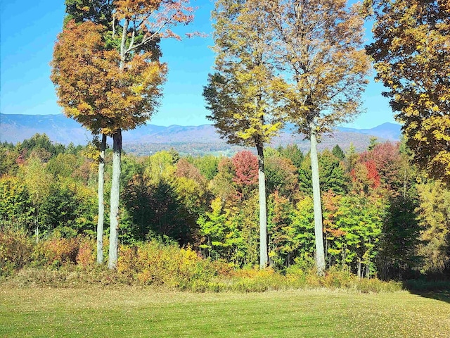 201 Lower Judson Ln, Stowe, VT 05672 - view of yard with a mountain view and a wooded view