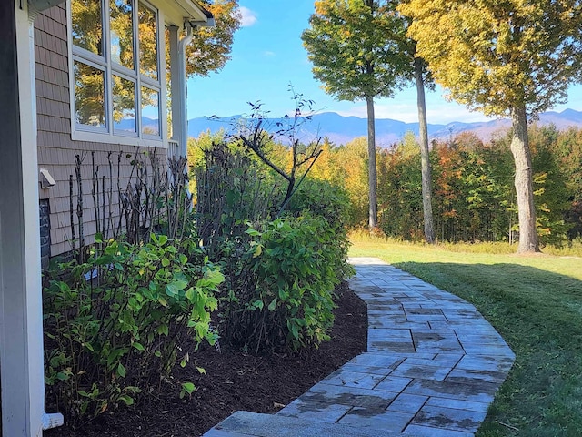 201 Lower Judson Ln, Stowe, VT 05672 - view of grassy yard with a mountain view