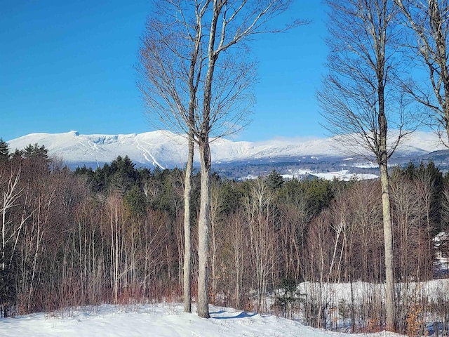 201 Lower Judson Ln, Stowe, VT 05672 - view of mountain background featuring a forest