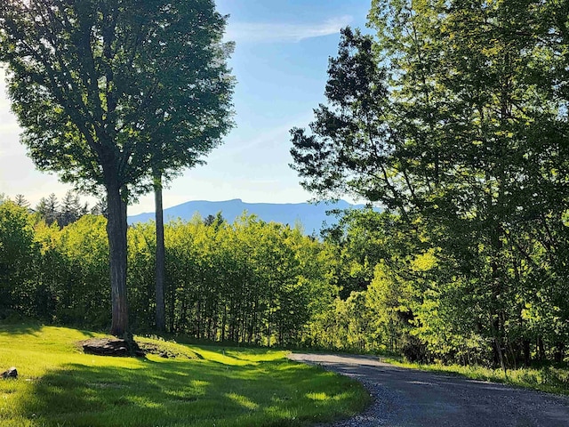 201 Lower Judson Ln, Stowe, VT 05672 - view of mountain backdrop featuring a forest