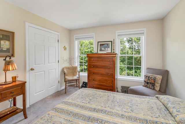 148 Deer Meadow Rd, Pittsfield, NH 03263 - bedroom with light carpet and baseboards