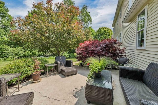 148 Deer Meadow Rd, Pittsfield, NH 03263 - view of patio