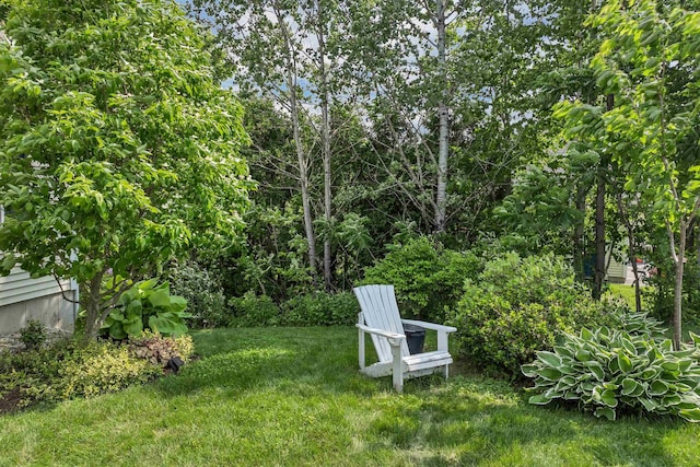 148 Deer Meadow Rd, Pittsfield, NH 03263 - view of green lawn