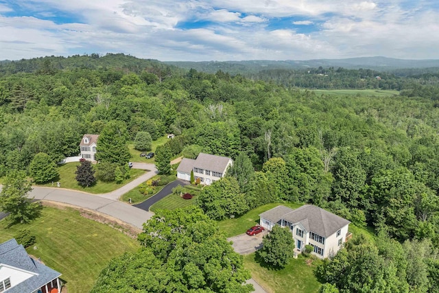 148 Deer Meadow Rd, Pittsfield, NH 03263 - bird's eye view of a forest