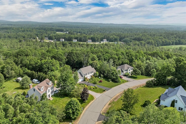 148 Deer Meadow Rd, Pittsfield, NH 03263 - bird's eye view of a forest