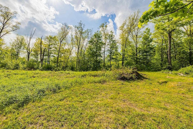 417 Maple Hill Rd, Arlington, VT 05250 - view of nature